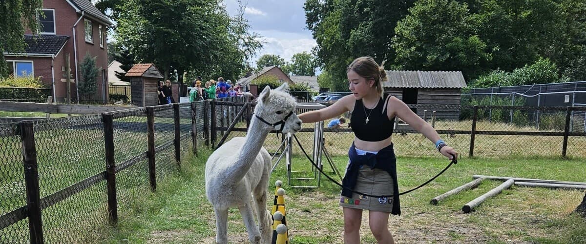 AlpacAgility