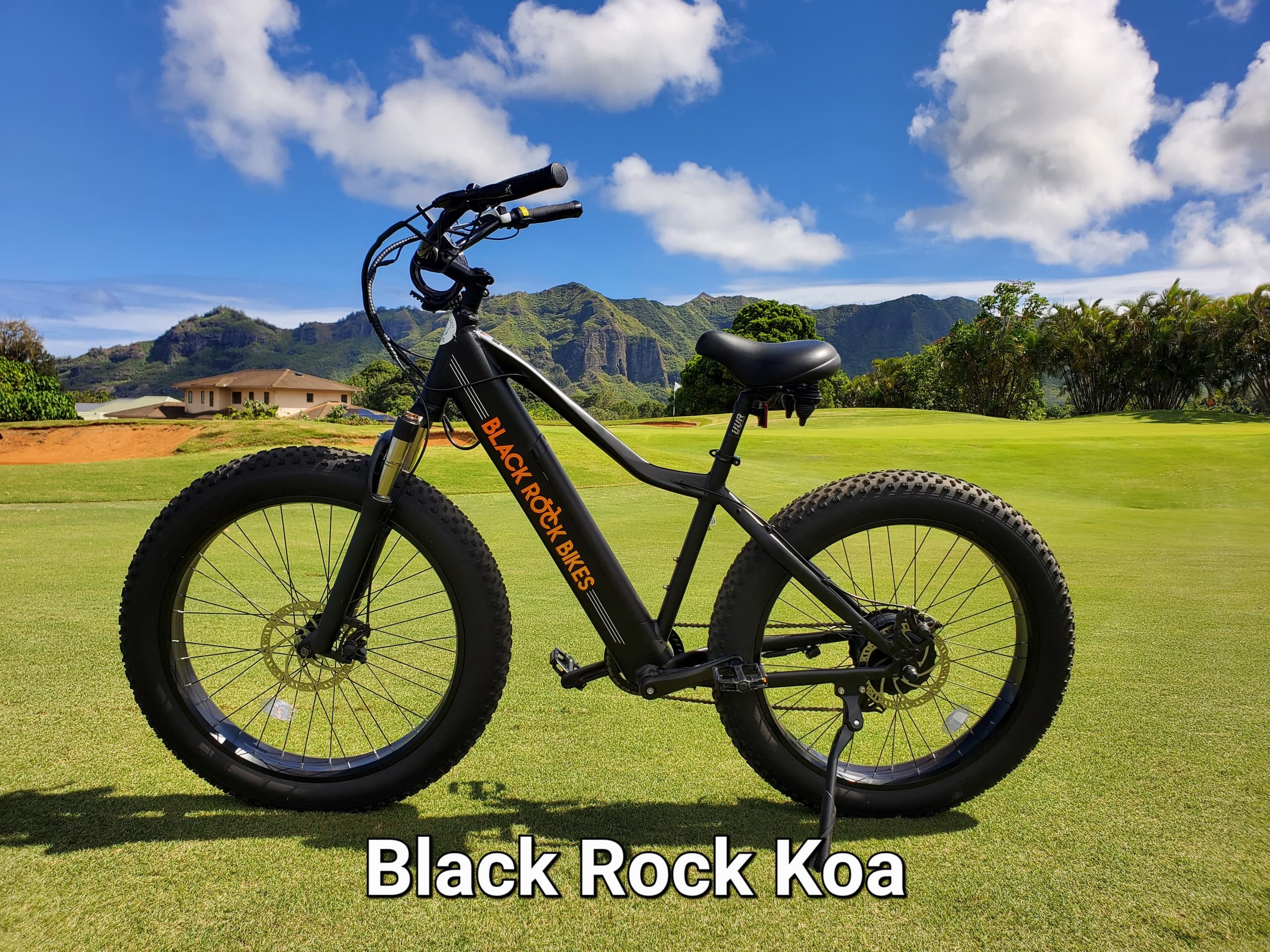 All Day Ebike Rental