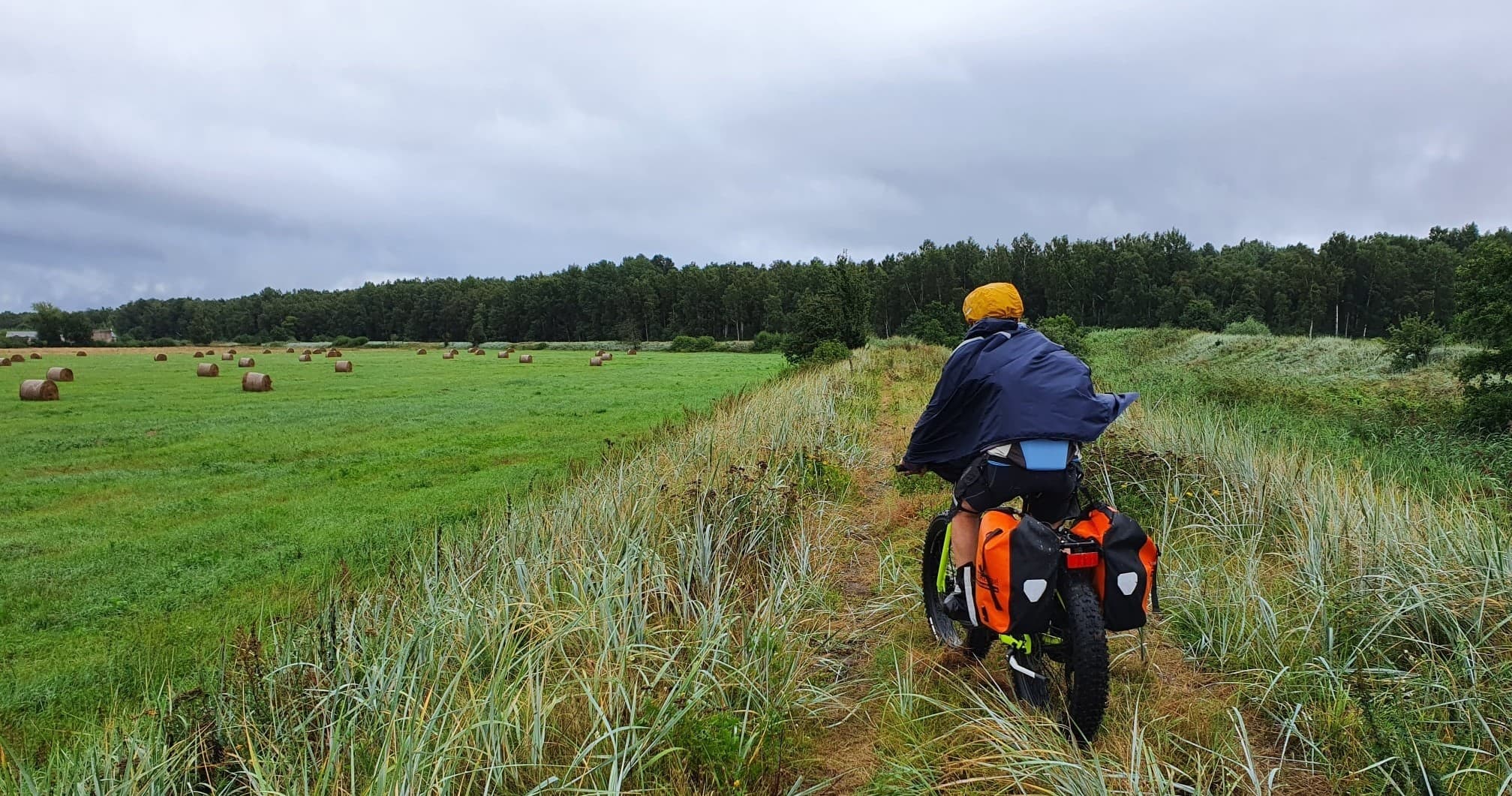 1 Day Bike Rental