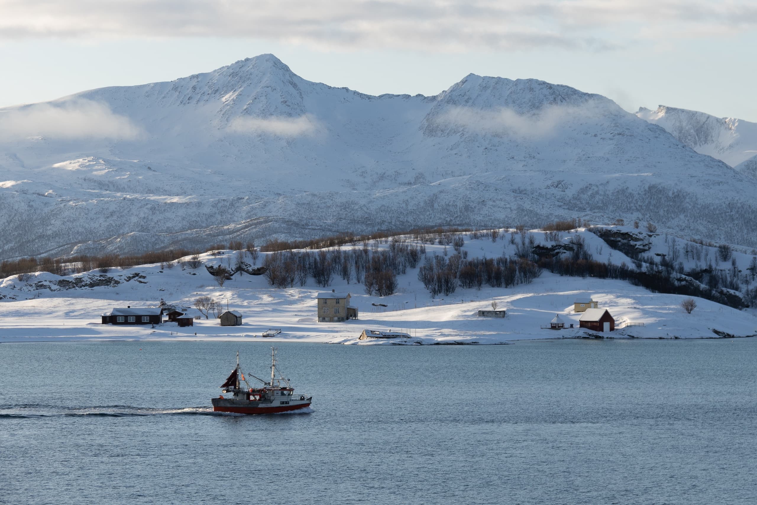 All inclusive Arctic day trip- a round tour of Kvaløya & Arctic Fjords
