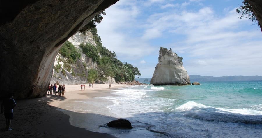 Coromandel Day Tour