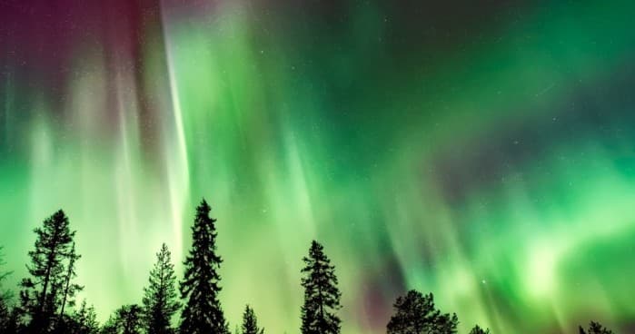 Northern Lights Snowshoe Adventure