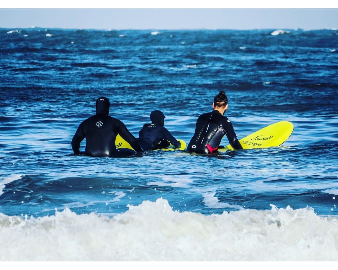Surfboard only