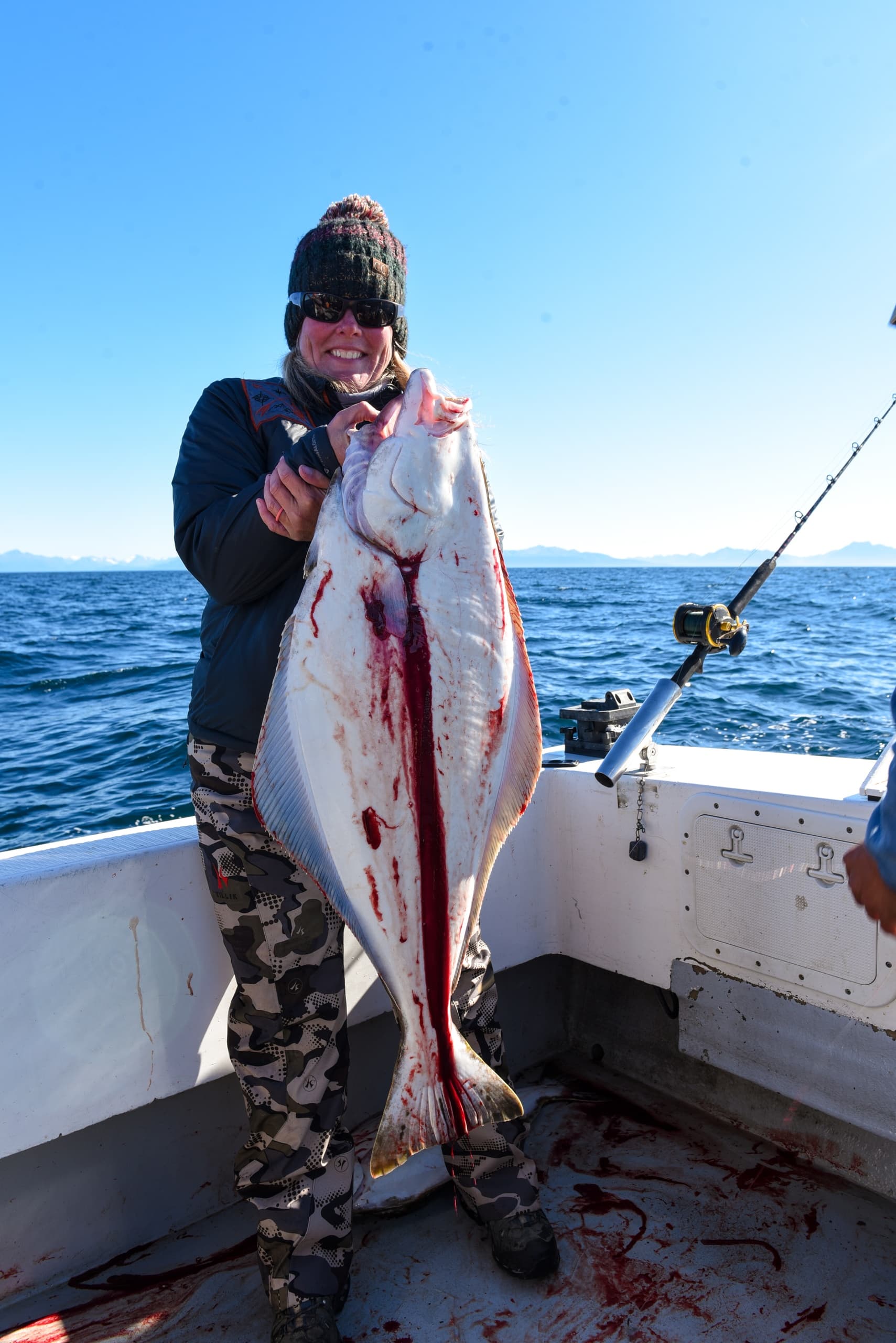 Bear Viewing or Halibut Fishing Ninilchik - The Pegasus
