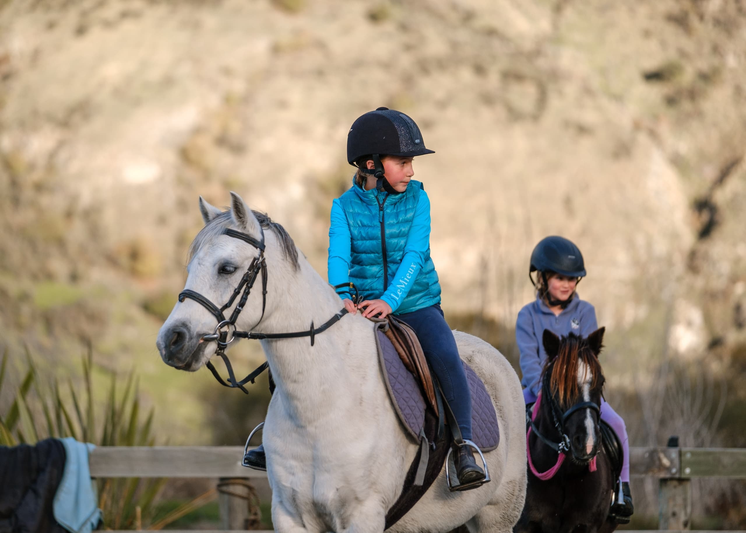 Junior Groom & Ride