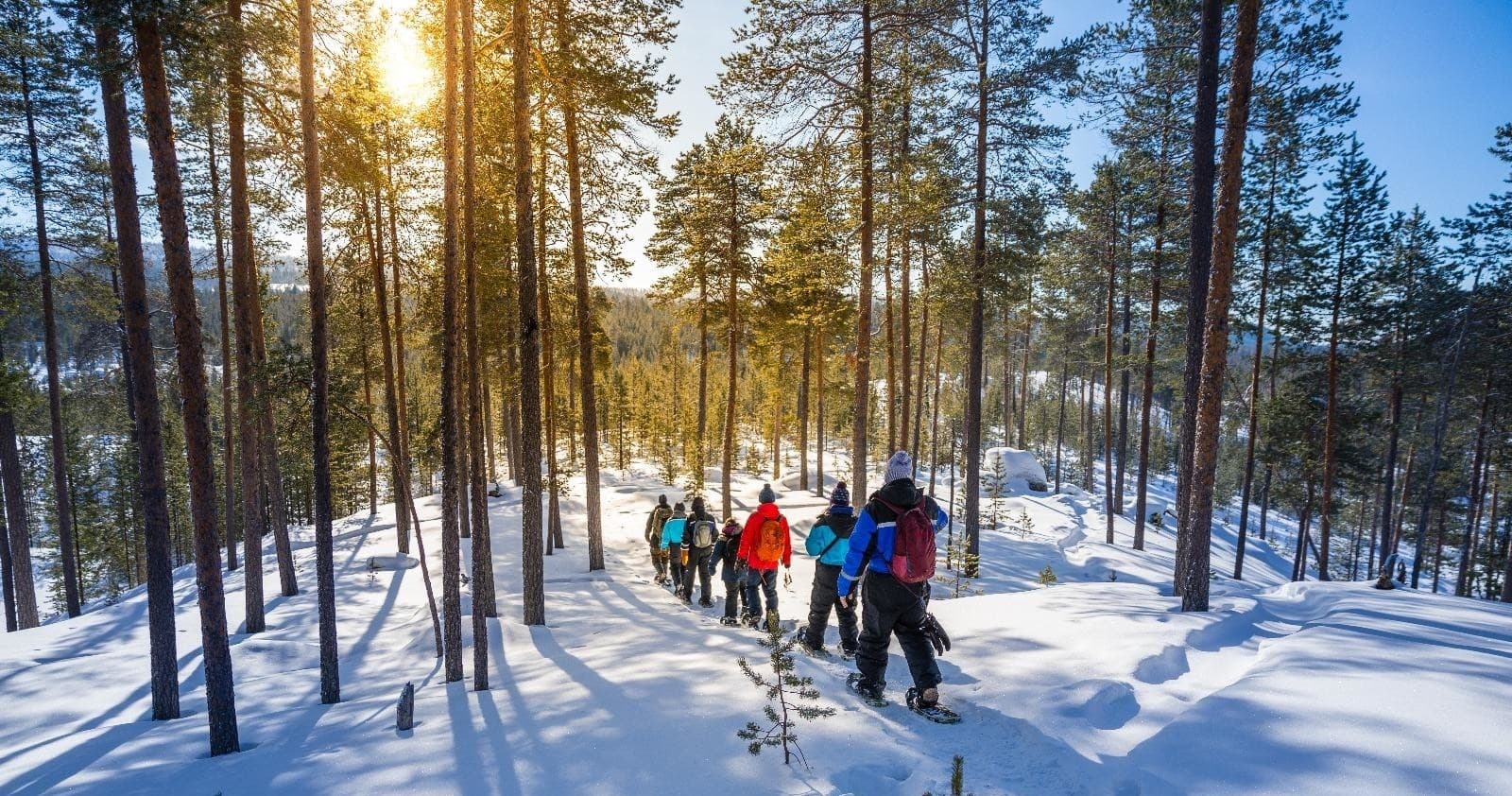 Snowshoeing Adventure