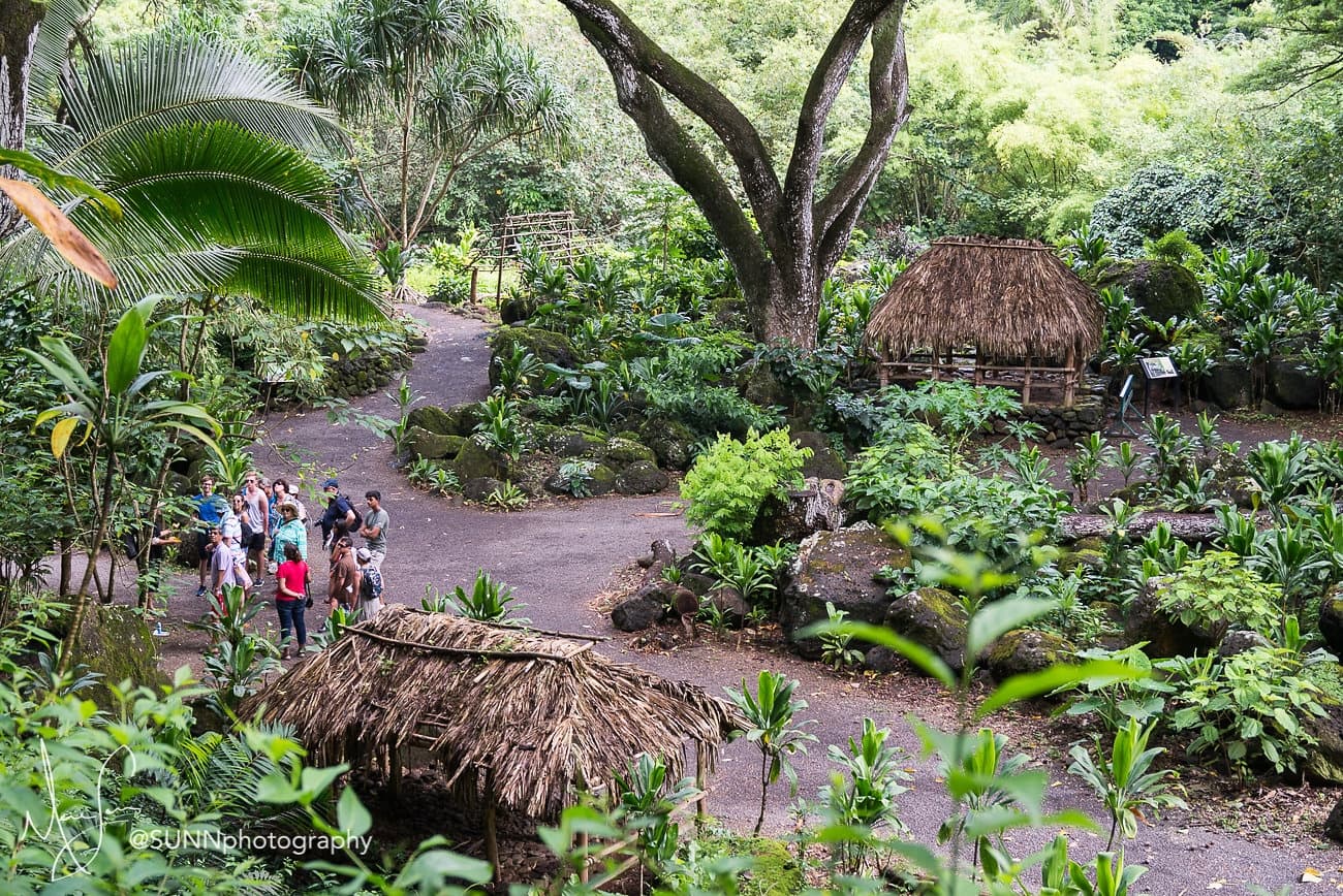 Kipahele Tours