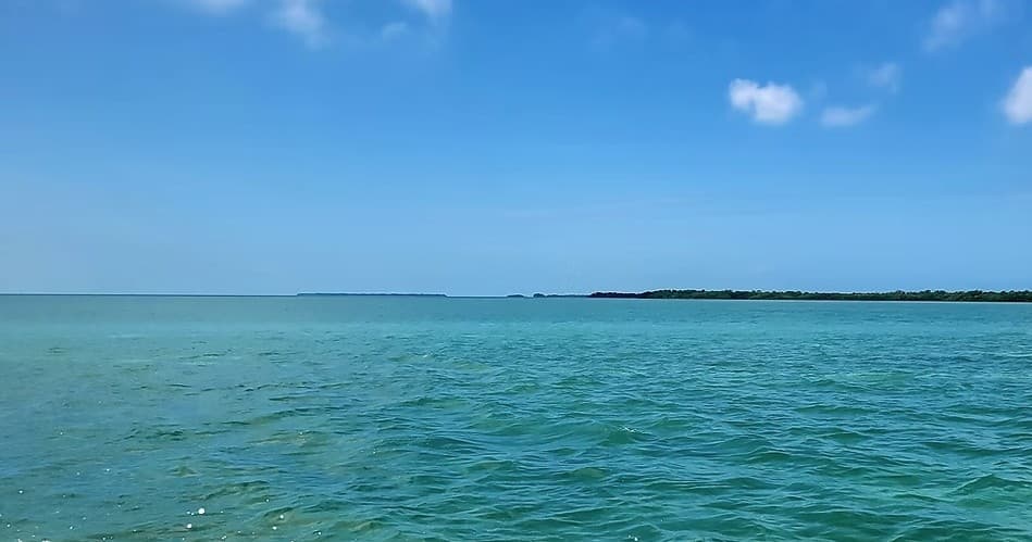 Two Hour Mini Sandbar Trip