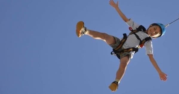 Free Fall