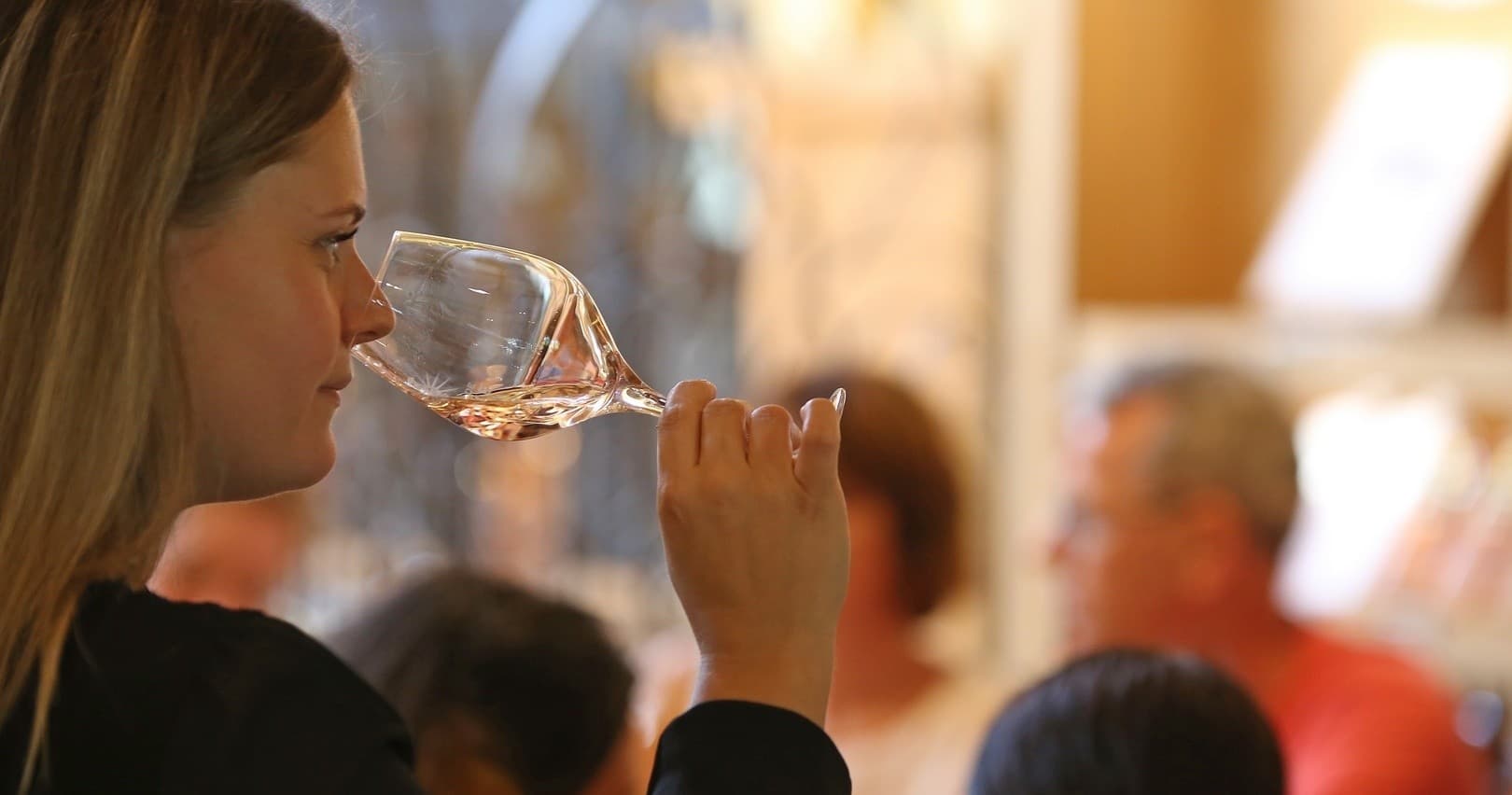 From the Vines to the Bottle Experience