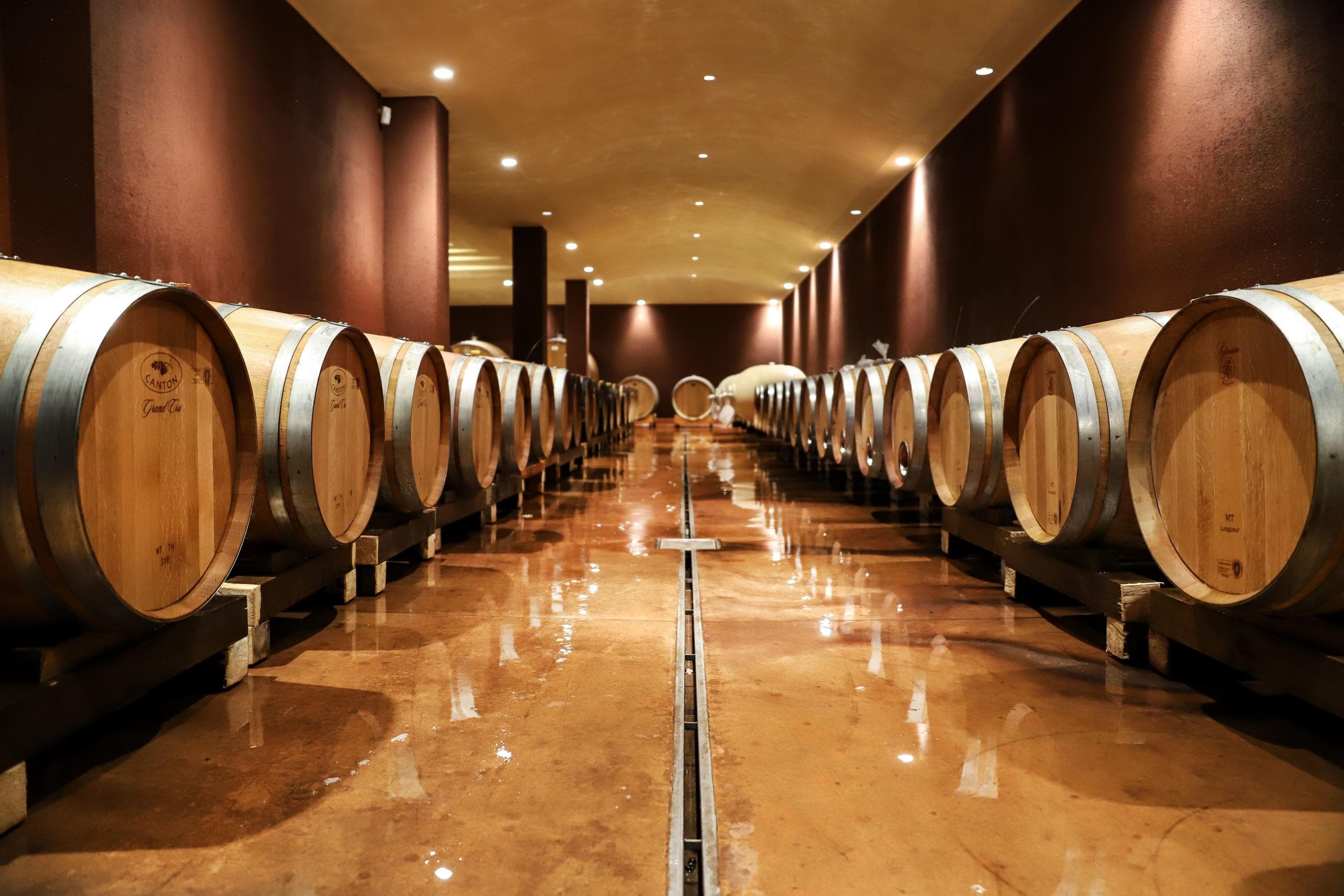 Lago di Garda: Visita in cantina con degustazione a Bardolino