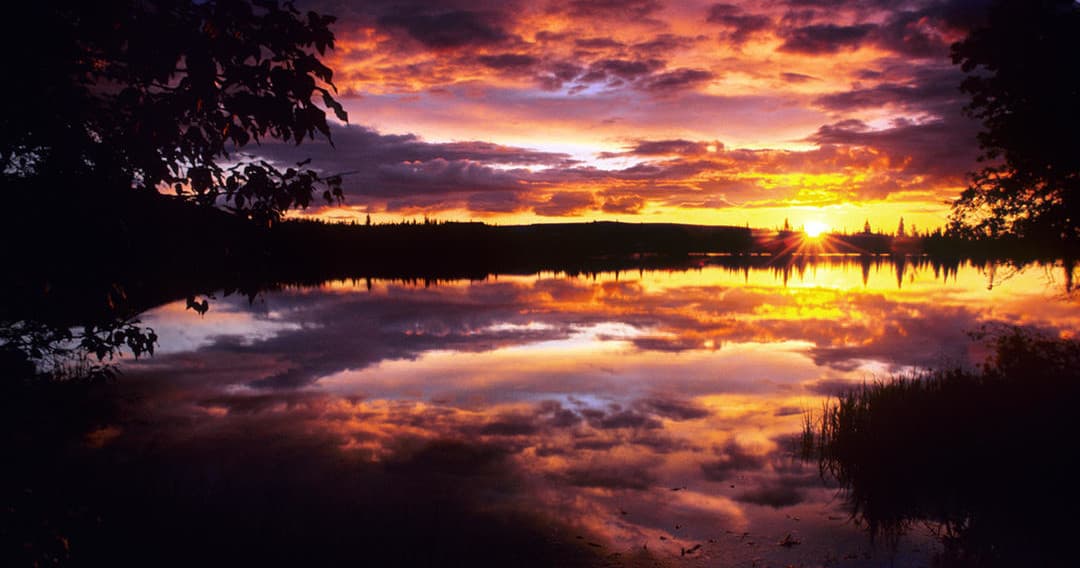 Midnight Sun Photo Excursion