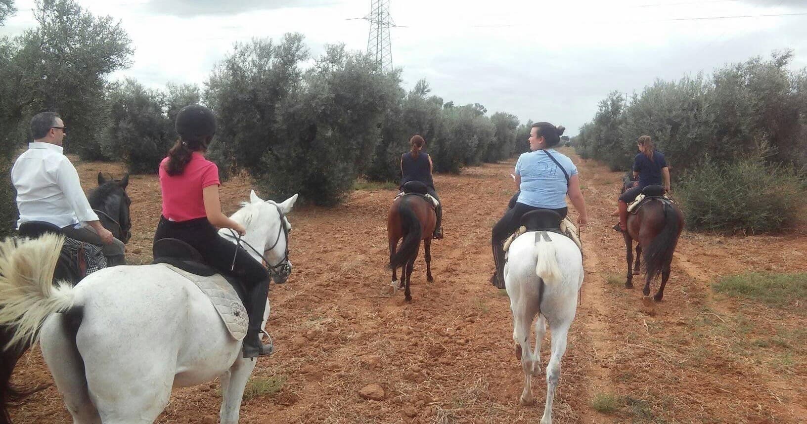 Horseback Riding and Picnic