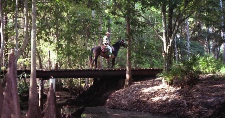 Horseback Trail Ride