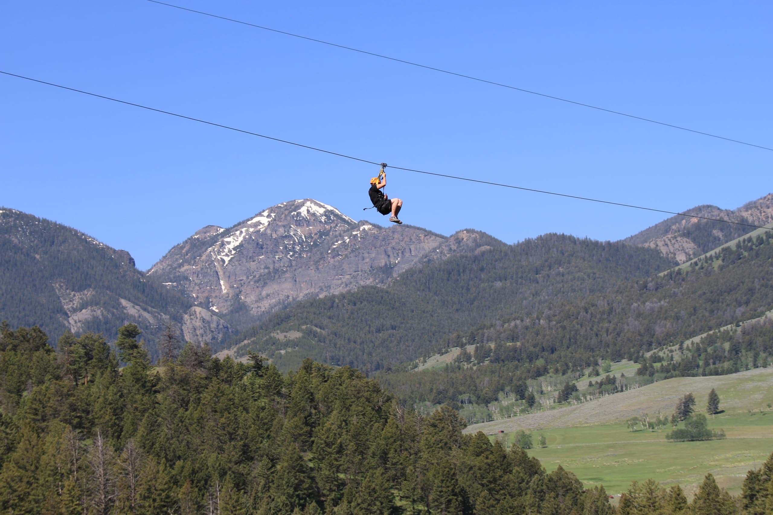 Yellowstone Zipline EcoTour