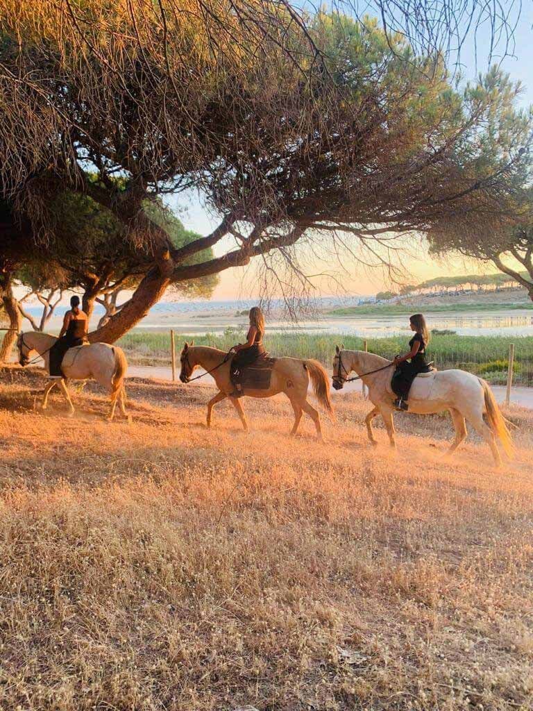 Passeio à Cavalo Durante a Tarde