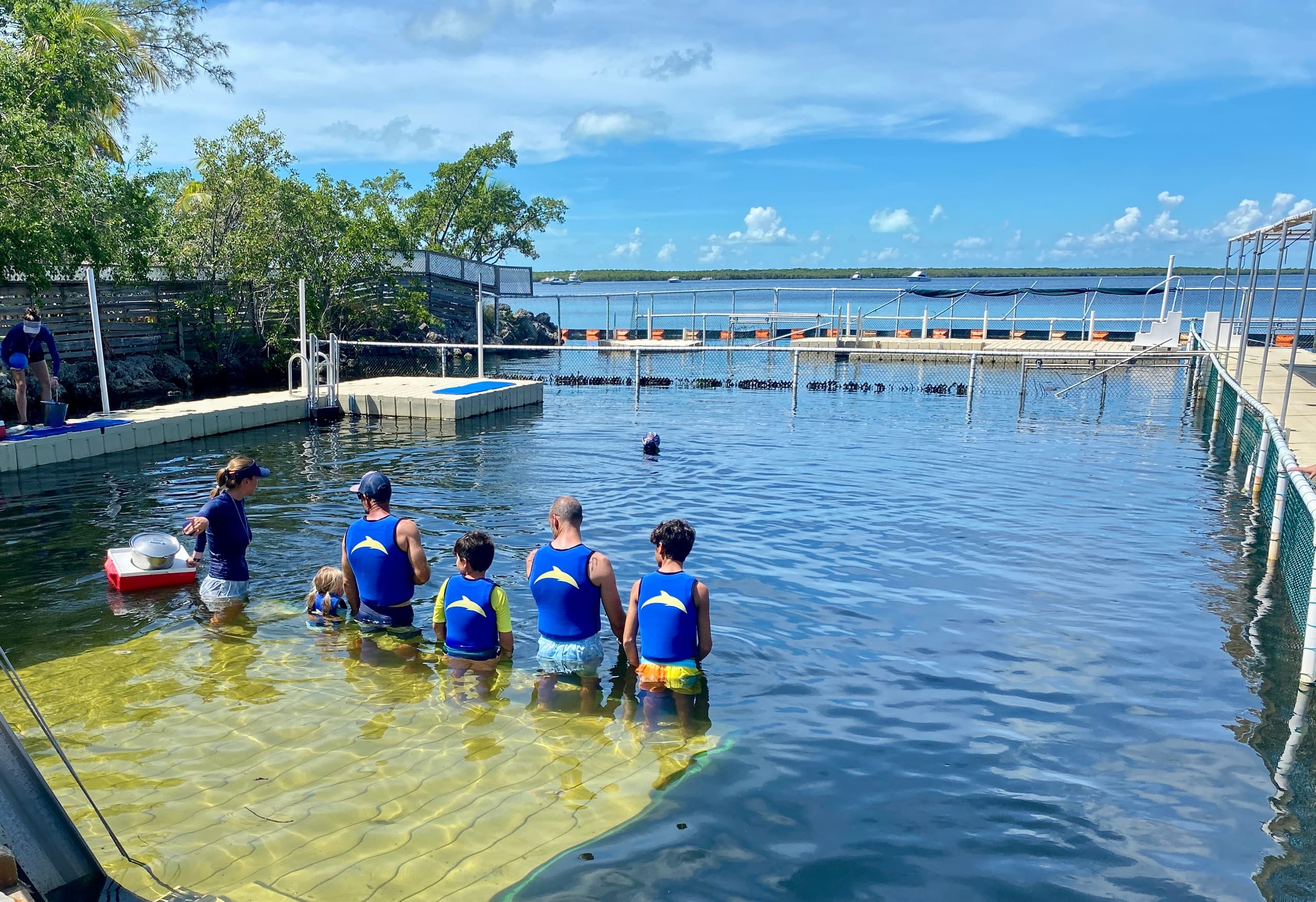 Guided Tour - Key Largo Dolphin Encounter