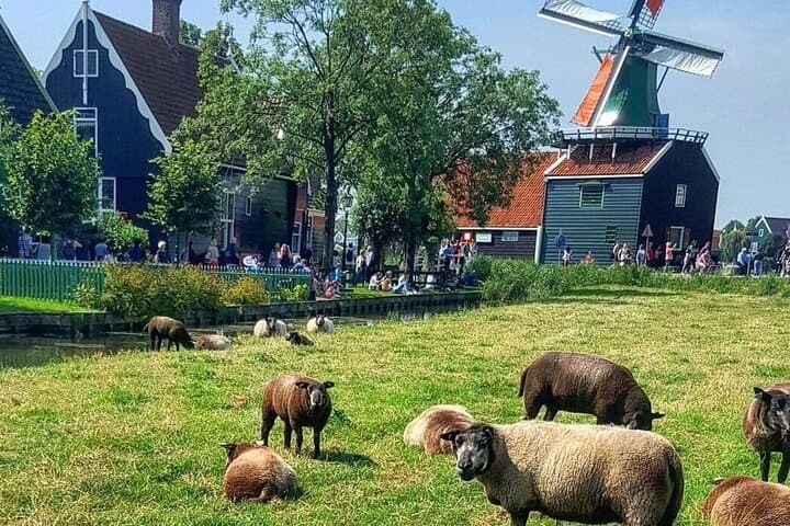 Day-trip Tour from Amsterdam to Zaanse Schans and Giethoorn