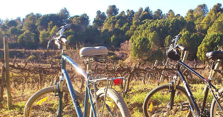 Wine Routes & Tastings: Cycling Wine Country
