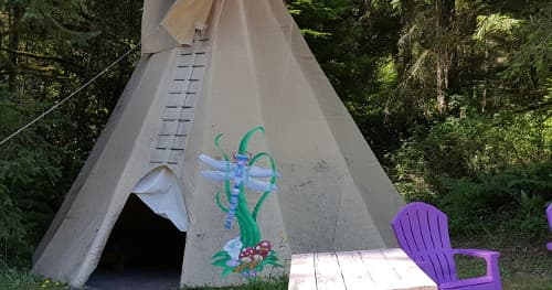 Dragonfly Fire Teepee for 4