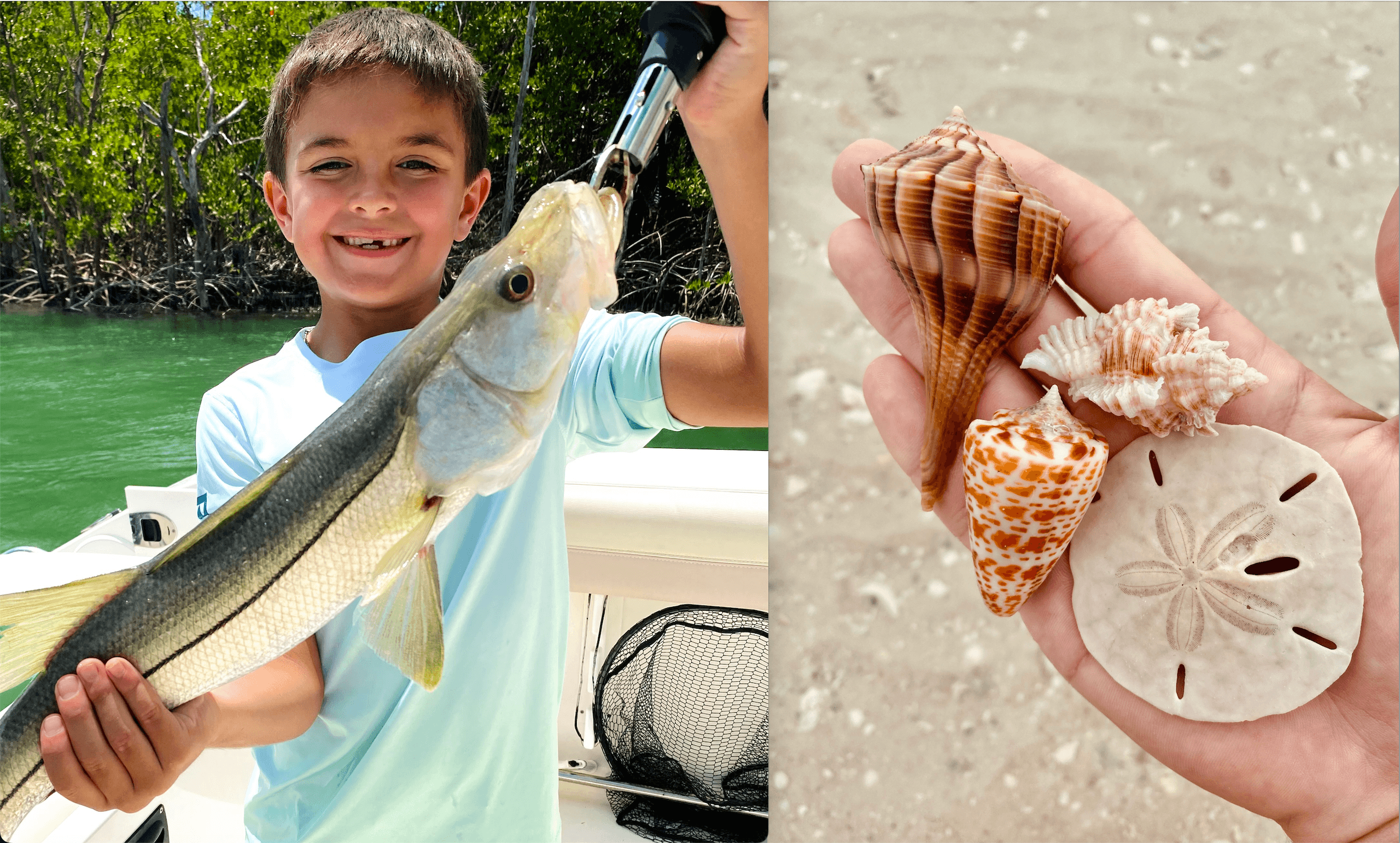 Private Shelling and Inshore Fishing Combo tour