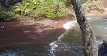 Half-Day Hana Tour