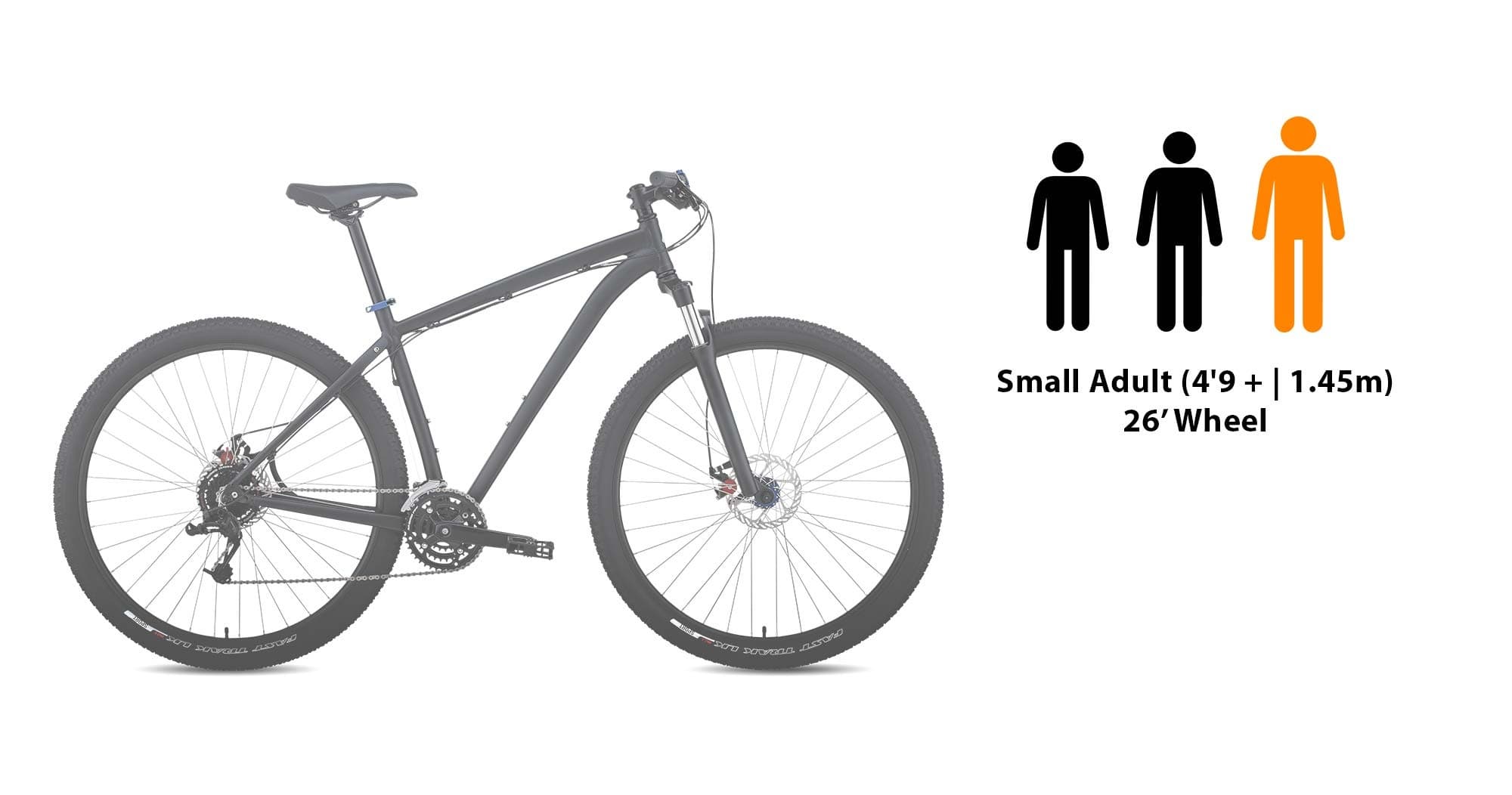 Large Kids Bike