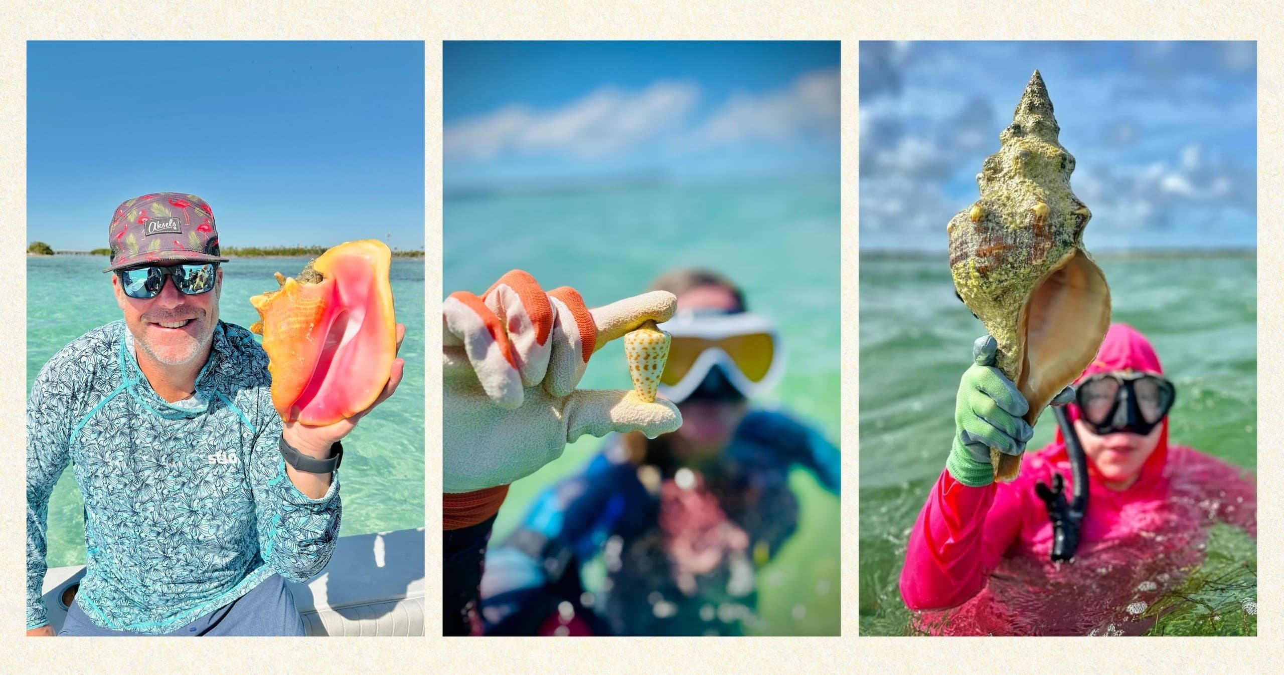 Florida Keys Private Shelling & Snorkeling Tour