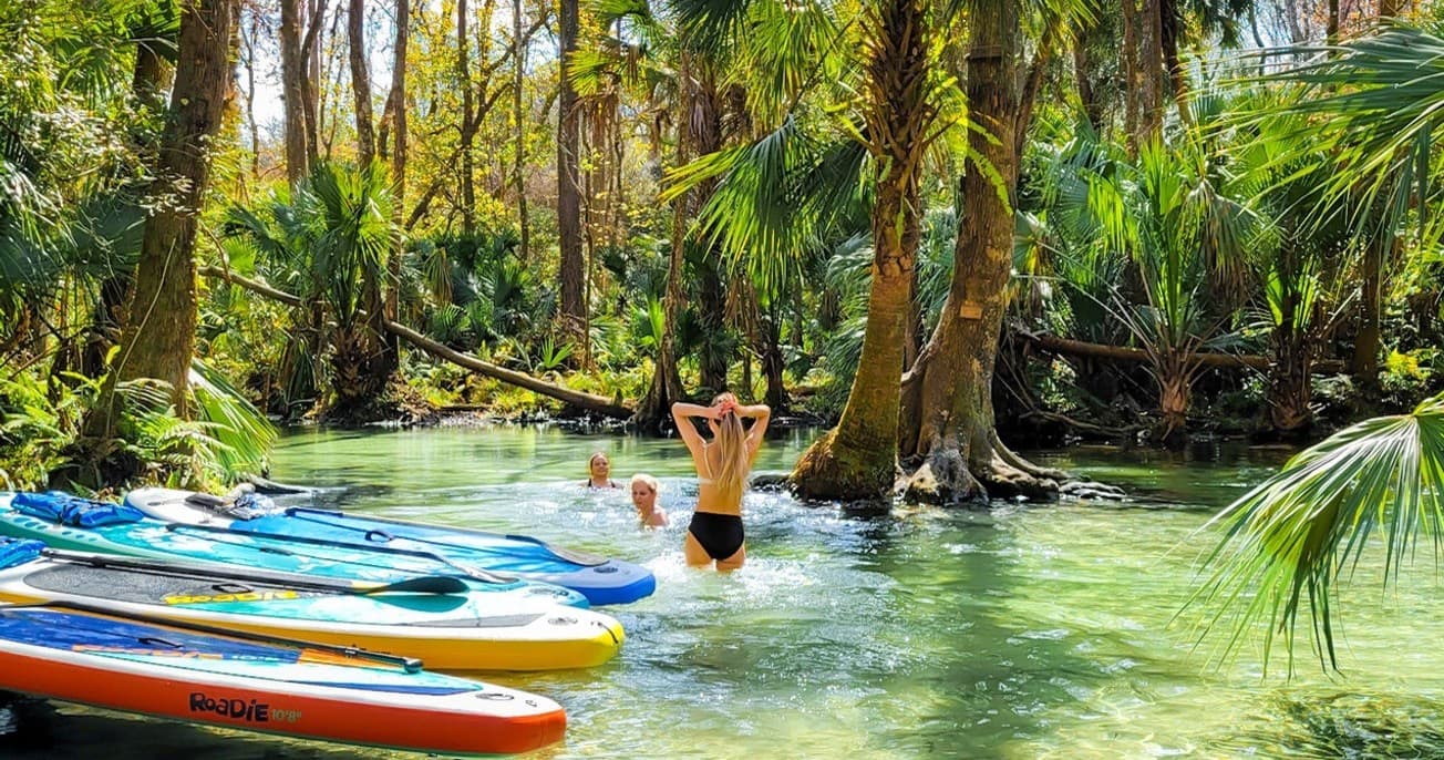 Day Paddle • Bring Your Own