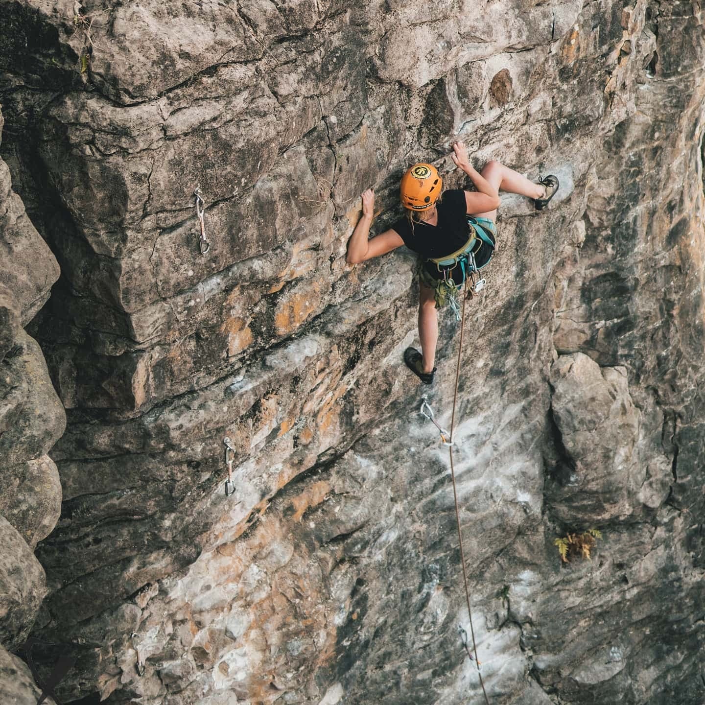 Real Rock Climbing Experience
