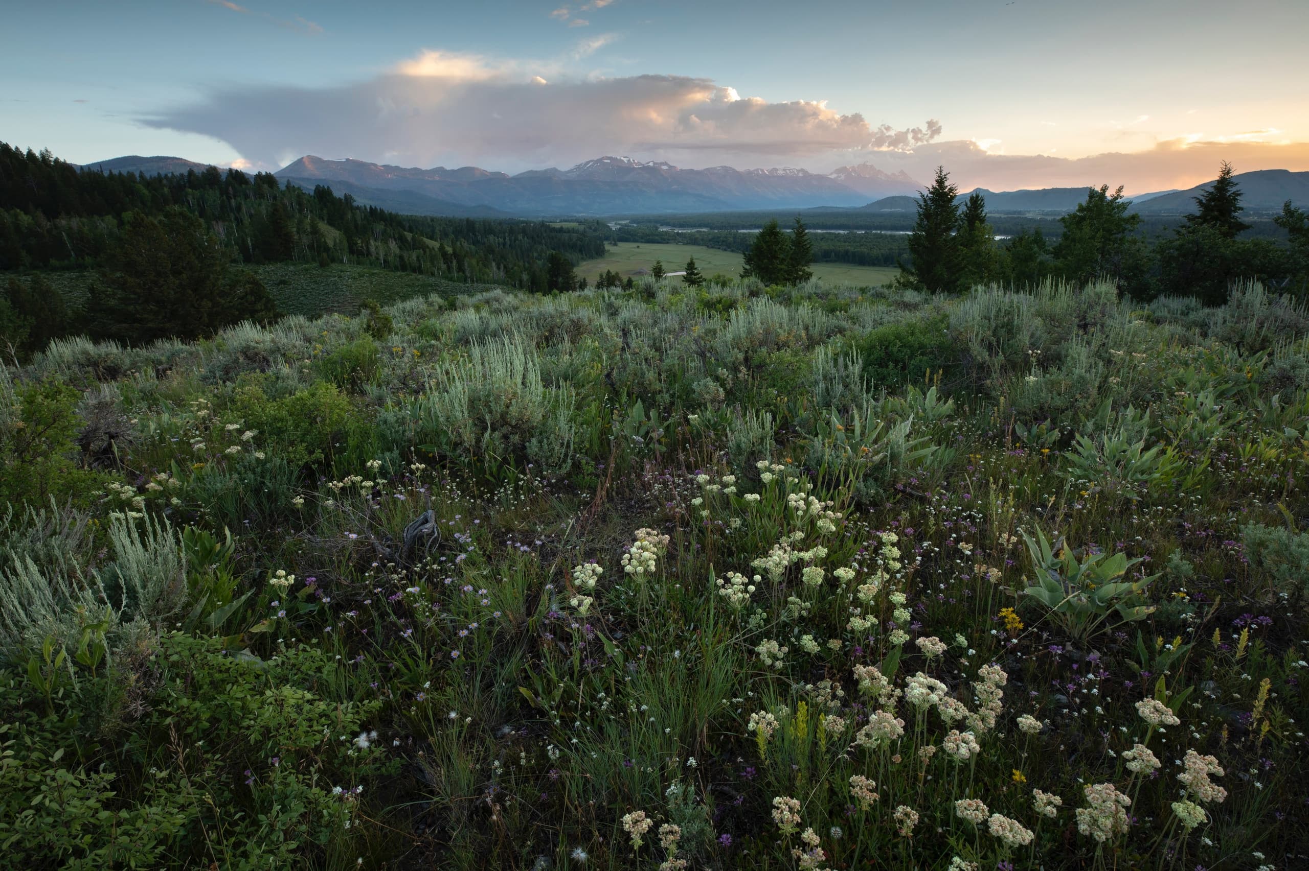 Jackson Hole Hiking Tour