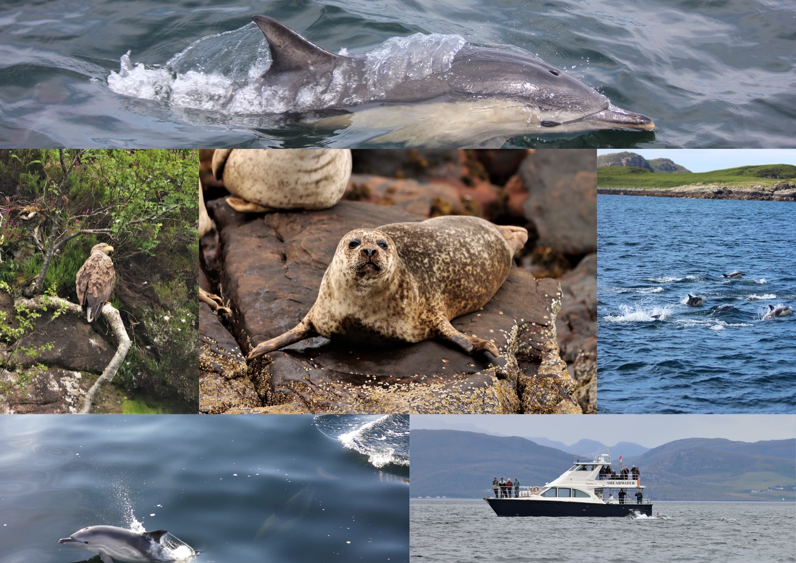 Summer Isle Tours