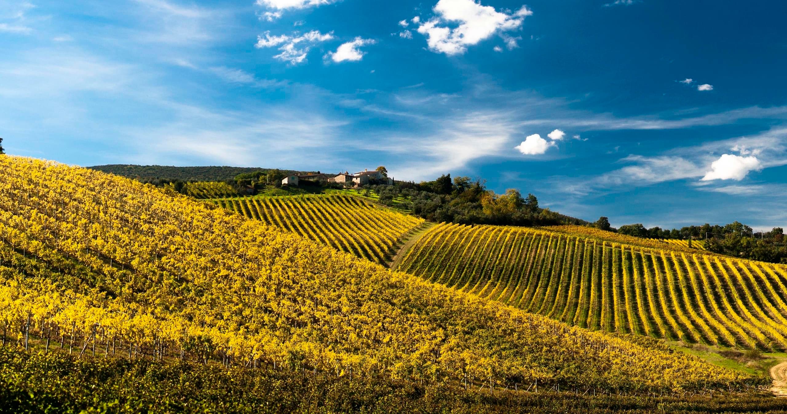 Toscana Bike Tour - 4 giorni