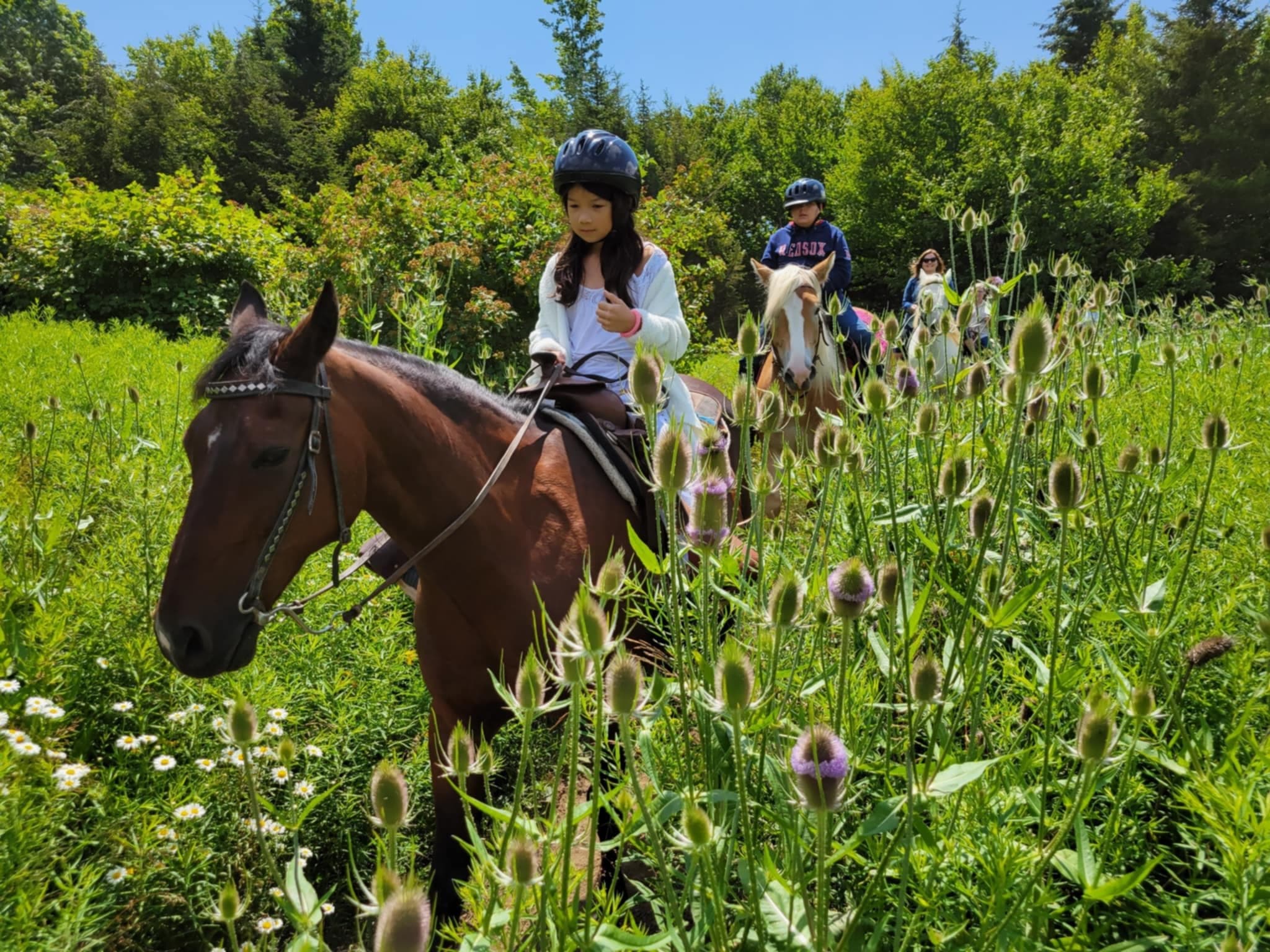 1 Hour Trail Ride