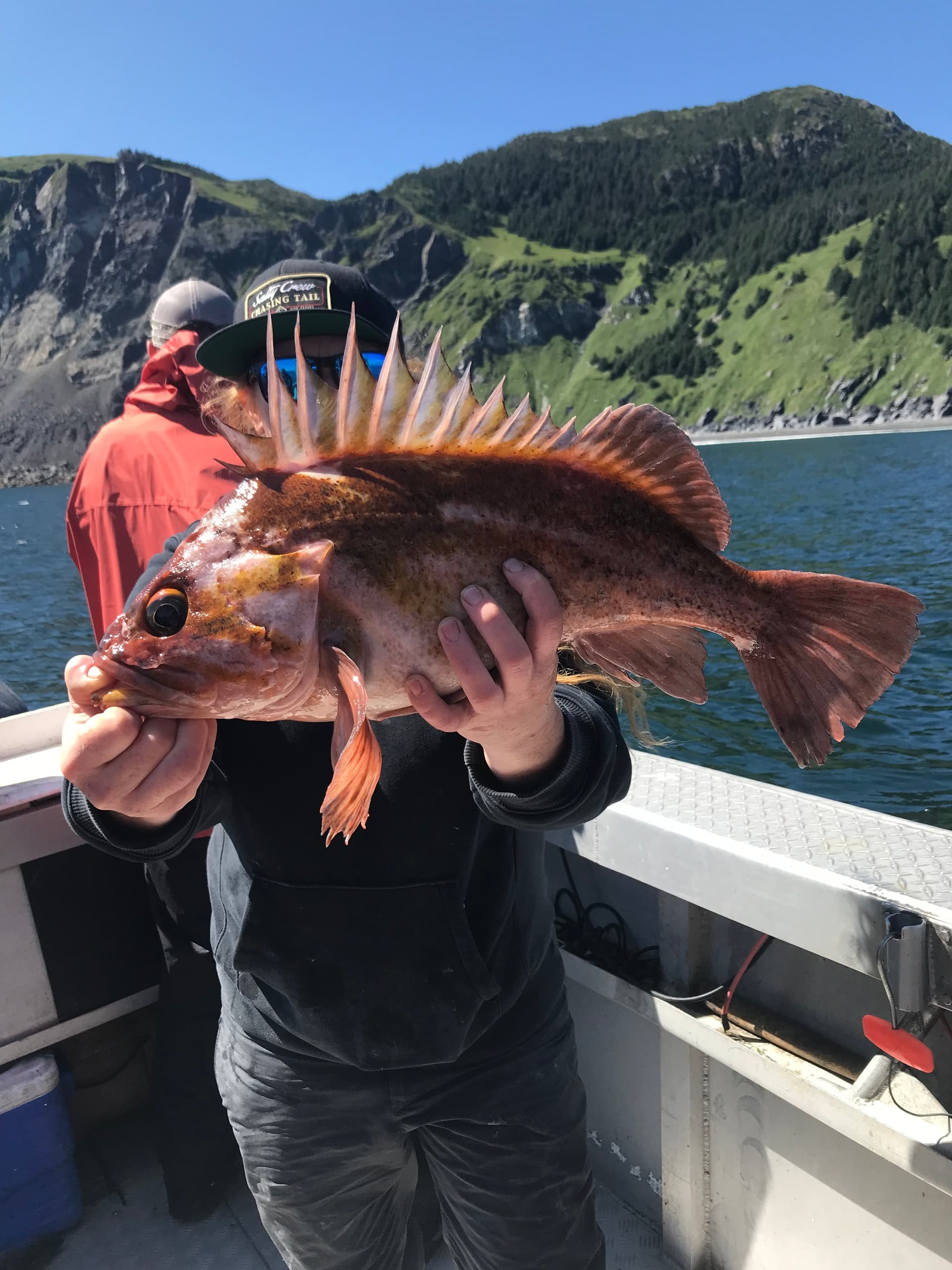 Rockfish/Salmon