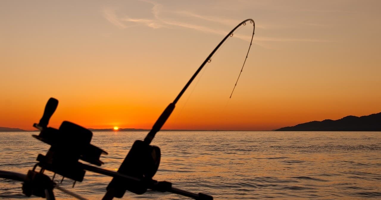 Private Trolling Trip - Four Hours
