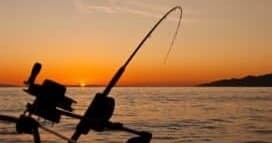 Half Day and Full Day Charters!