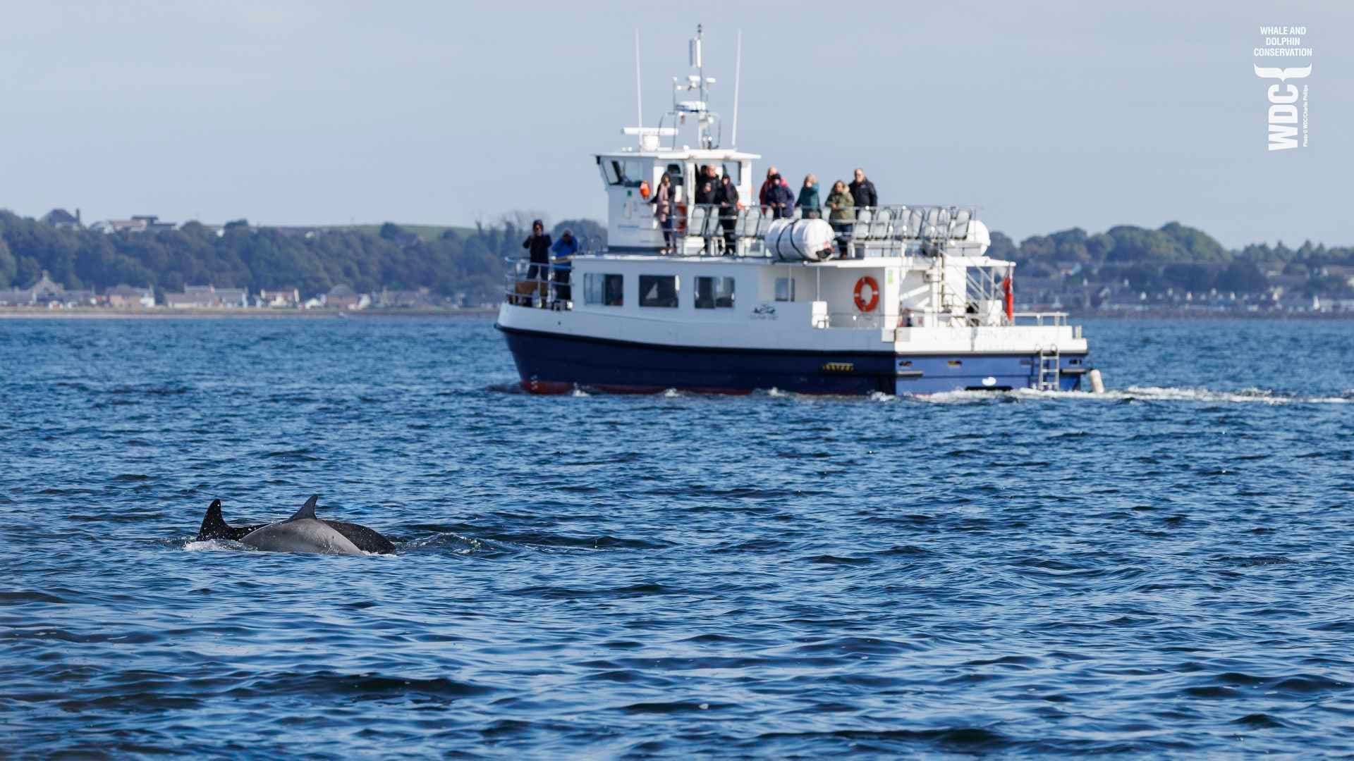 Wildlife cruise