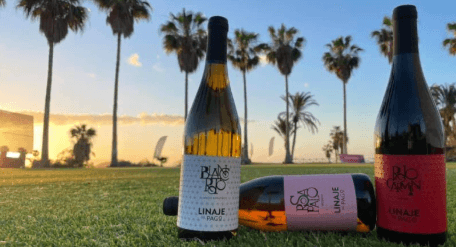 Visita guiada a bodega y cata de vinos