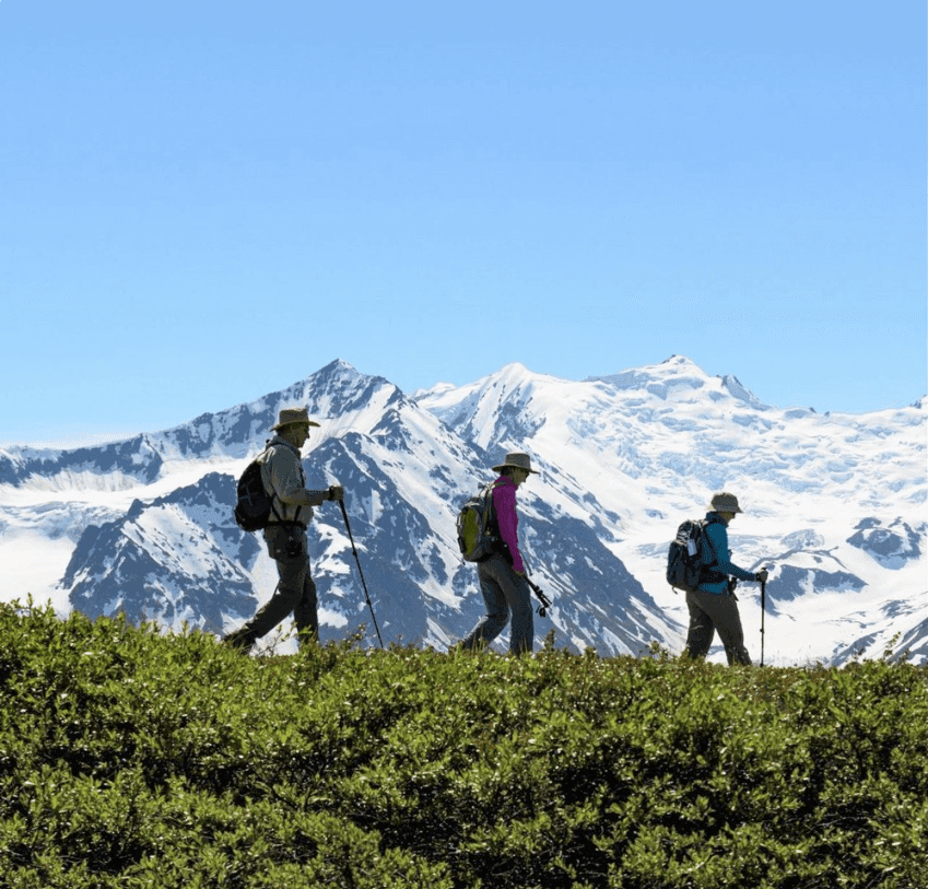 Heli-Hiking - Seward 4-Hour Tour