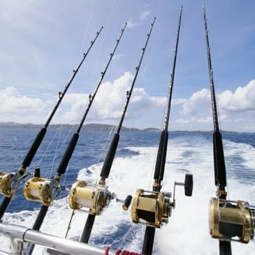 12 Hour Private Fishing Charter
