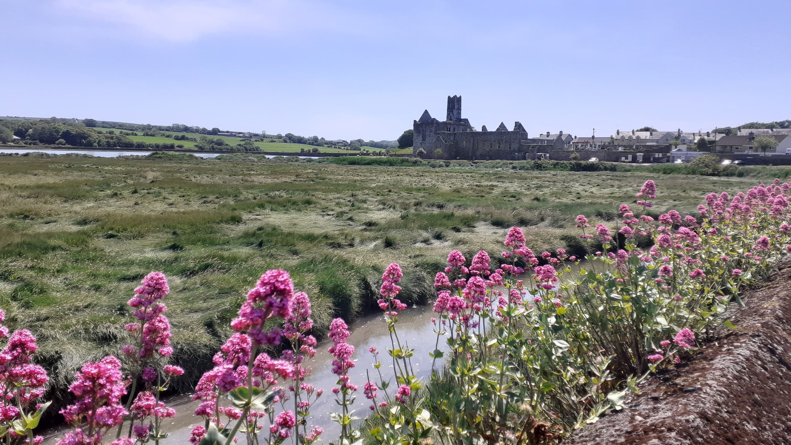 Courtmac Bay Tour