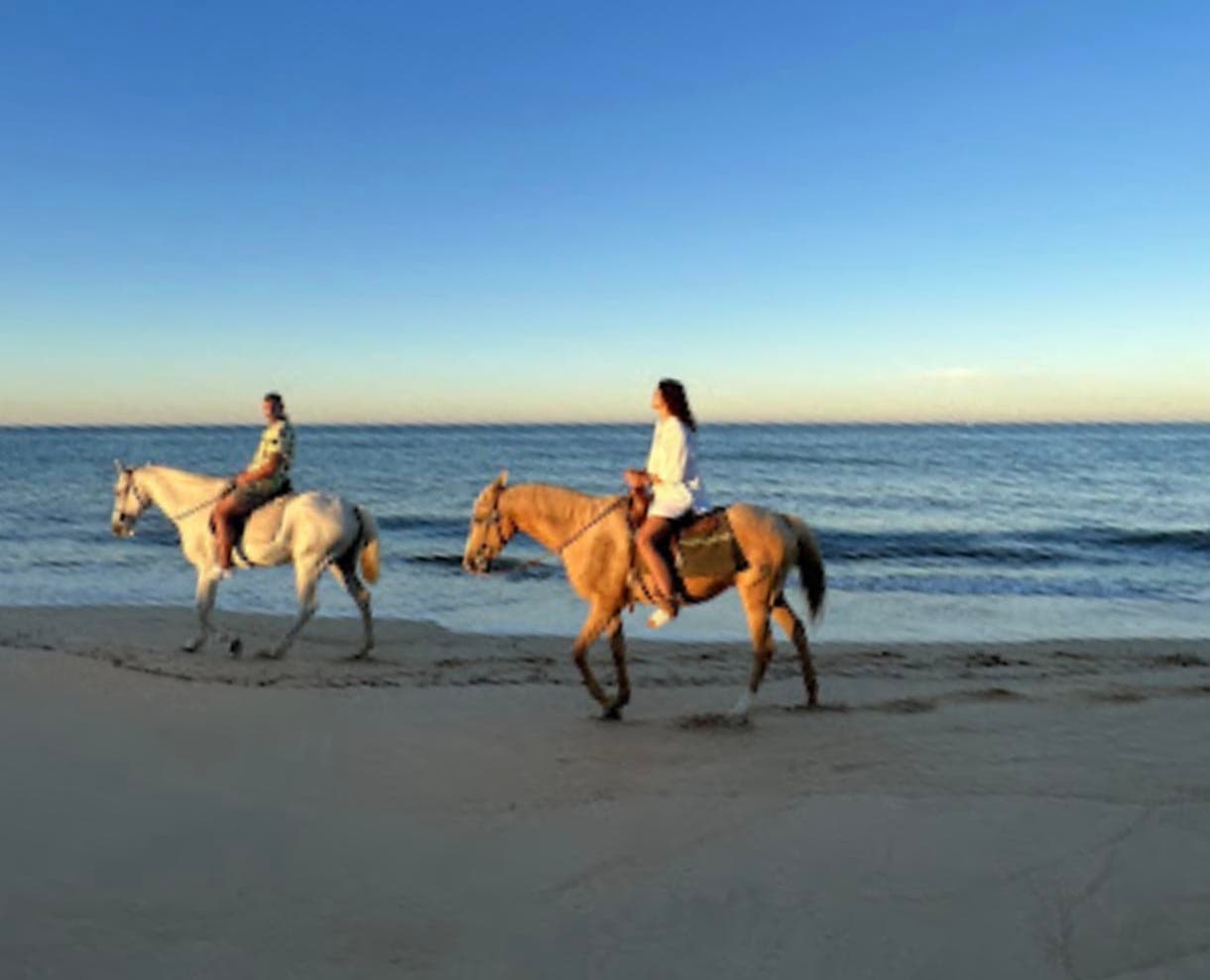Passeio à Cavalo ao Nascer do Sol!