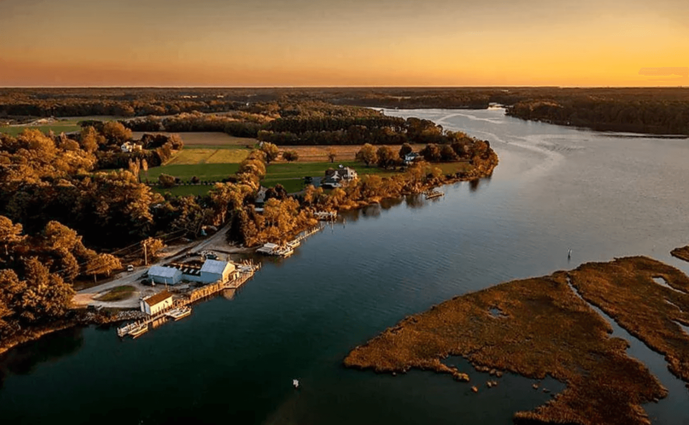 Chatham Vineyards