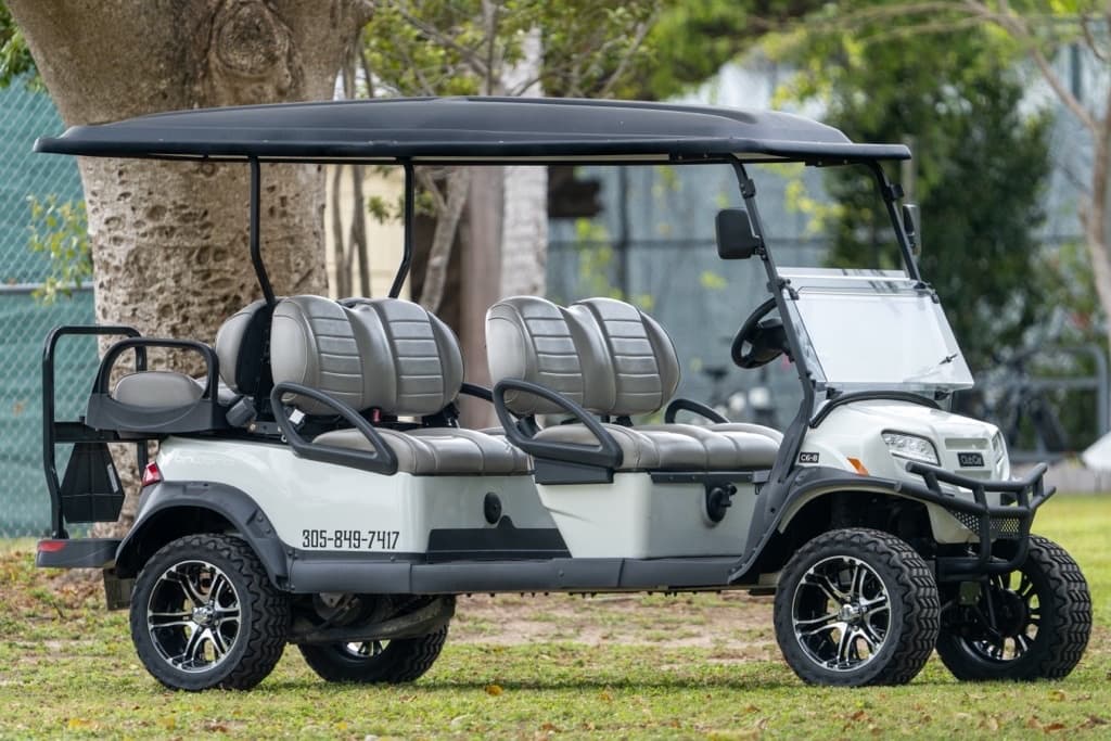 6 Passenger - Golf Cart