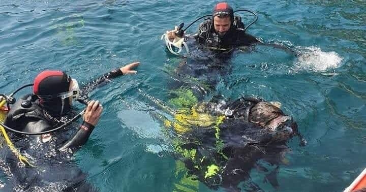 PADI Scuba Diver