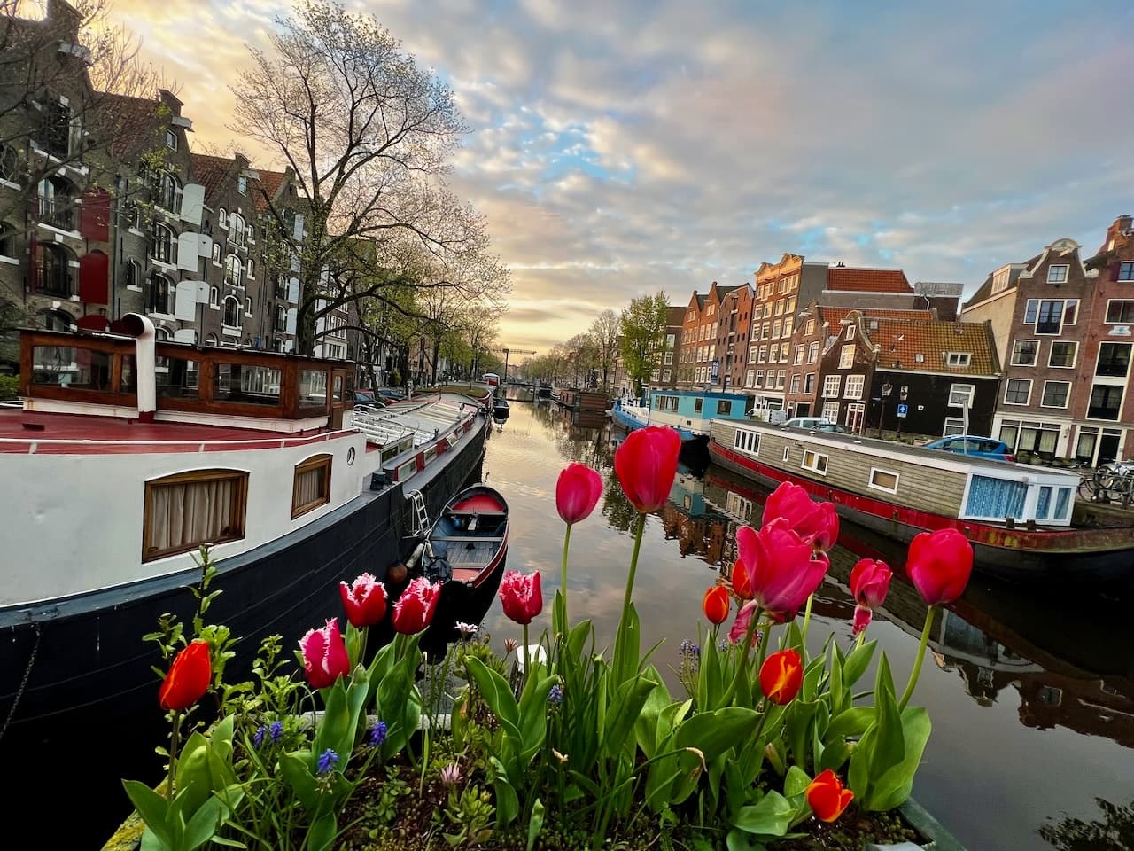 Amsterdam Walk with Enthusiastic & Fun Guide