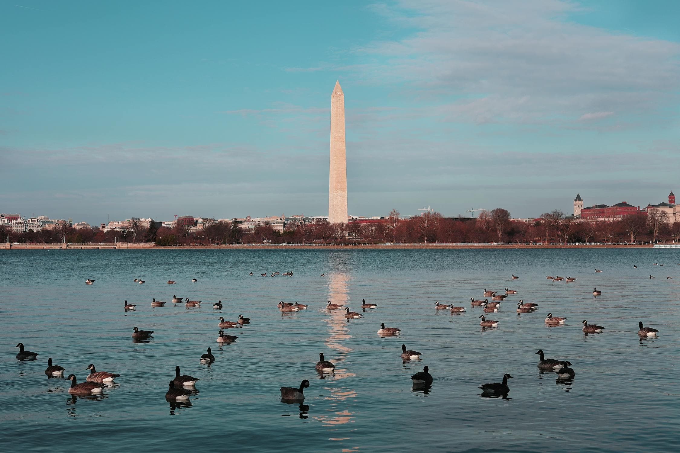 DC Monuments and Memorials Night Tour