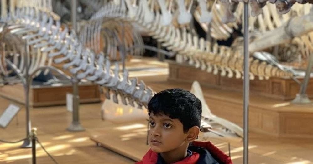 Washington DC Museum of Natural History Tour for Families