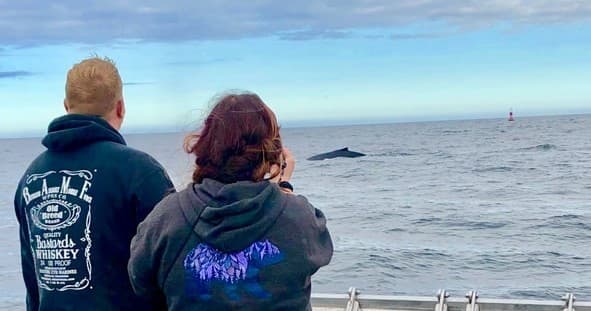 Private Whale Watch Charter